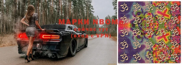 мдпв Арсеньев