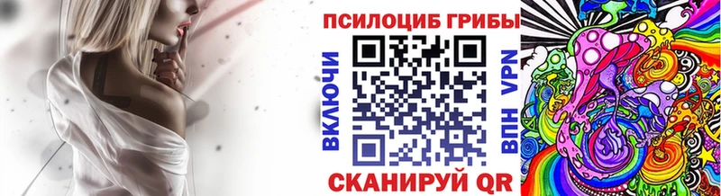 Галлюциногенные грибы Psilocybe  Боровичи 